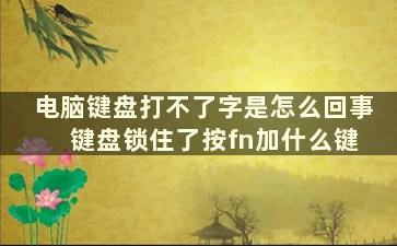 电脑键盘打不了字是怎么回事 键盘锁住了按fn加什么键